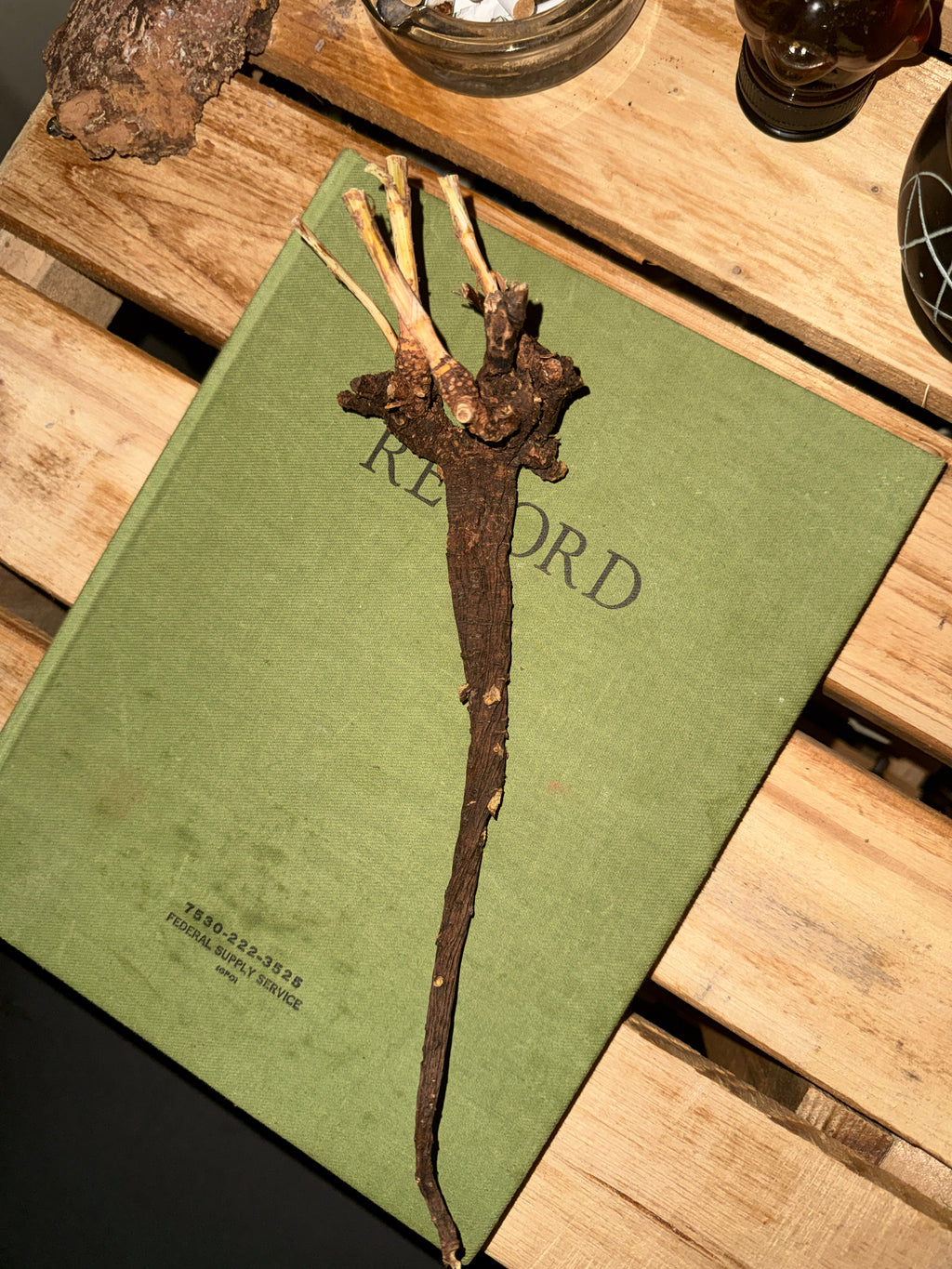 Ritual Conjuring & Root Work; Curios, Mojo Bags and Talismans